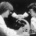 Il ruolo del lavoro in fisica